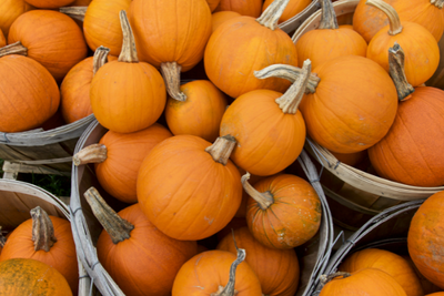 Fall Treats for People Who Don't Like Pumpkin